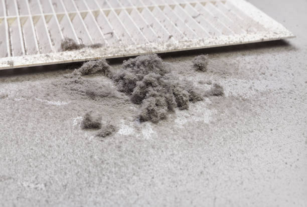 Best Affordable Duct Cleaning Services  in Wilton, CA
