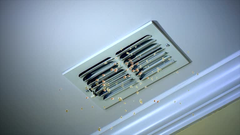 Best Affordable Air Duct Cleaning  in Wilton, CA
